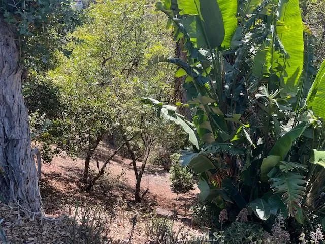 3124 Goodview Trail, Los Angeles, CA 90068