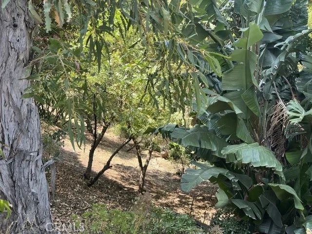 3124 Goodview Trail, Los Angeles, CA 90068