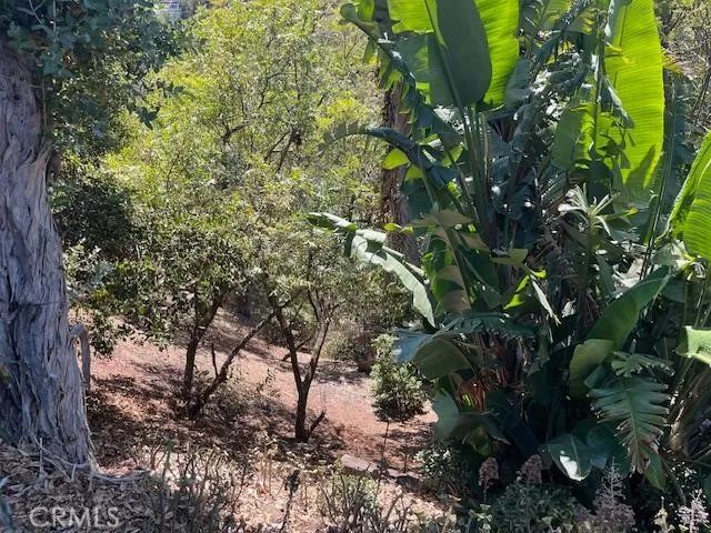 3124 Goodview Trail, Los Angeles, CA 90068