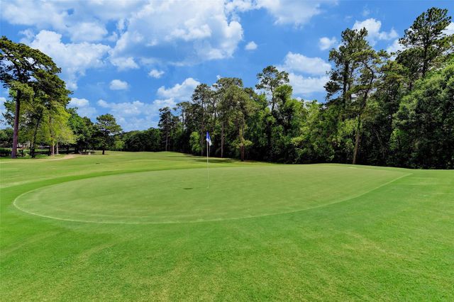 1318 Blantyre Way, Houston, TX 77339