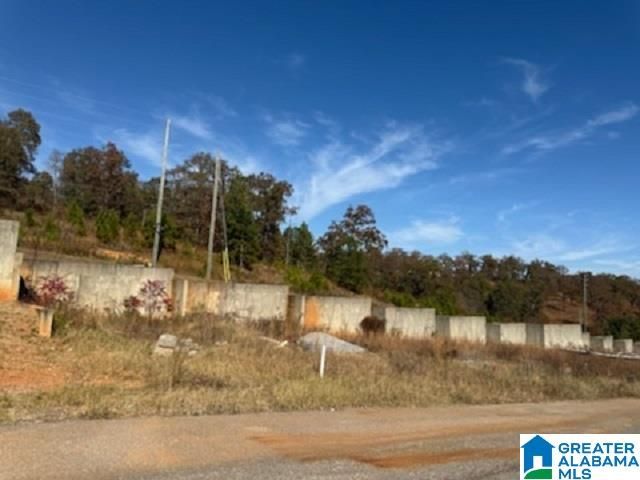 1110 RANCH MARINA ROAD, Pell City, AL 35128