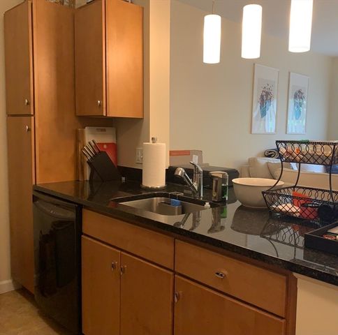 5 Repton Circle 5106, Watertown, MA 02472