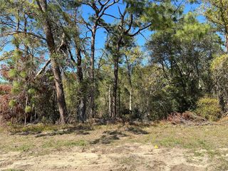 0 SW 159TH STREET, Ocala, FL 34473
