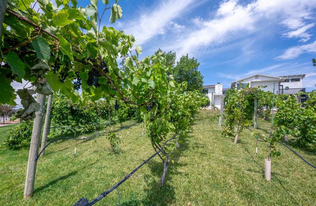 903 26 Road, Grand Junction, CO 81506