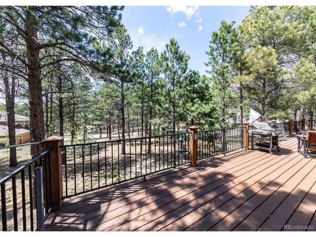 19670 Blue Clover Ln, Monument, CO 80132