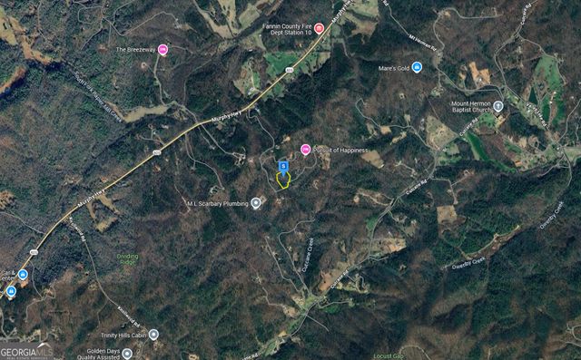 601 Pine Pass Cir, Mineral Bluff, GA 30559