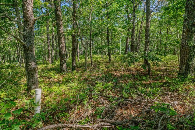 240 Gross Hill Road, Wellfleet, MA 02667