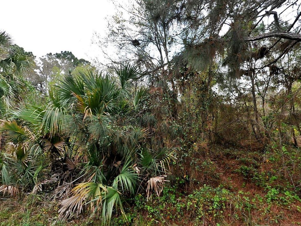 HENNING STREET, North Port, FL 34288