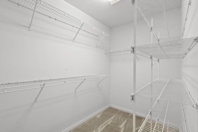 11301 ANDY DRIVE, Riverview, FL 33569