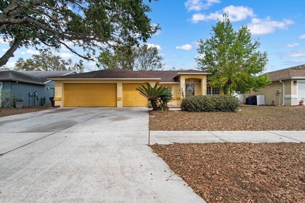 11301 ANDY DRIVE, Riverview, FL 33569