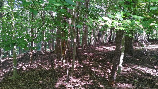 Lot 53 Ridgeway CT, Moneta, VA 24121