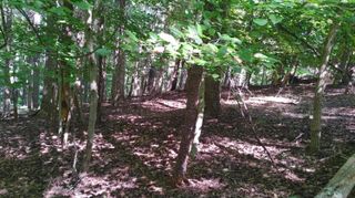 Lot 53 Ridgeway CT, Moneta, VA 24121