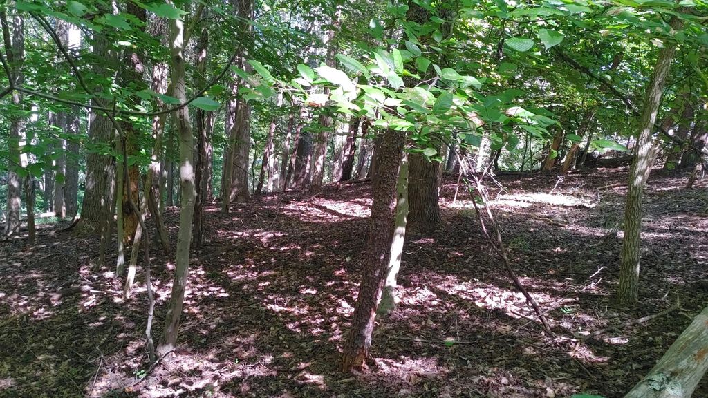 Lot 53 Ridgeway CT, Moneta, VA 24121