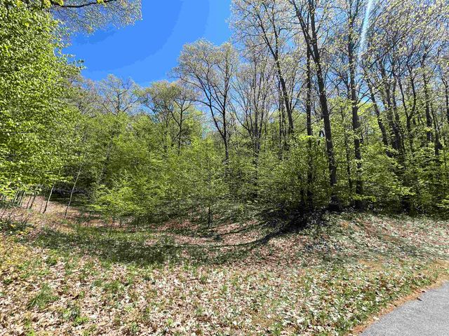Lot 16 S Club Drive, Cedar, MI 49621