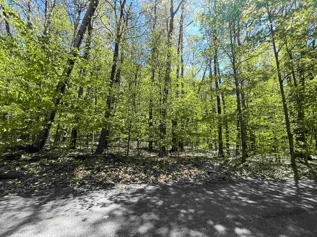 Lot 16 S Club Drive, Cedar, MI 49621