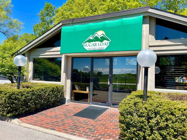 Lot 16 S Club Drive, Cedar, MI 49621