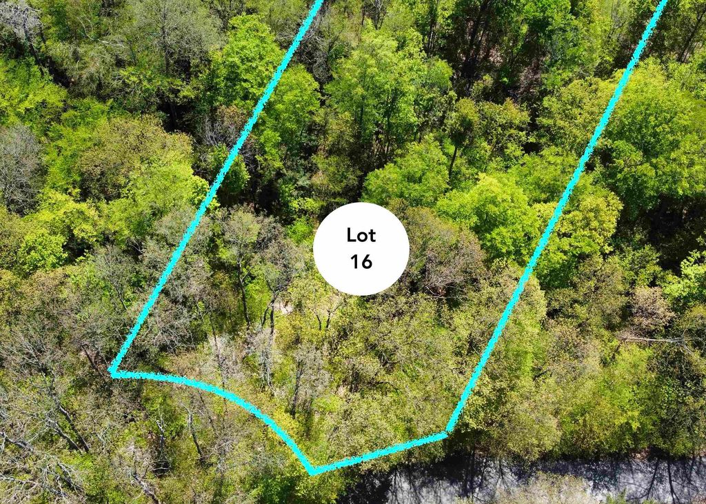 Lot 16 S Club Drive, Cedar, MI 49621
