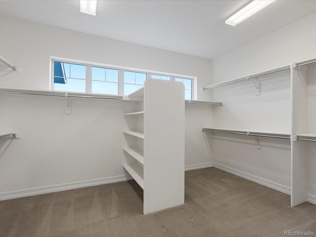 22263 Boundstone St, Parker, CO 80138
