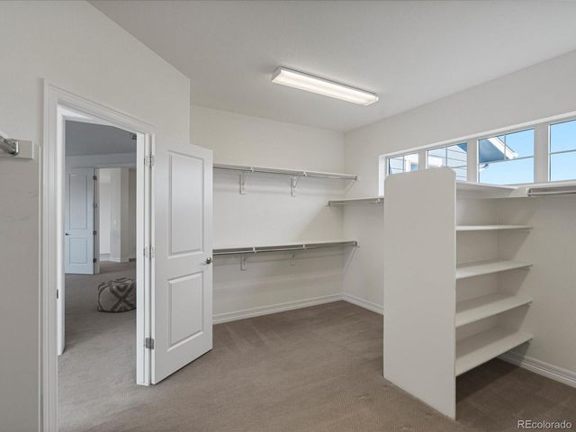 22263 Boundstone St, Parker, CO 80138