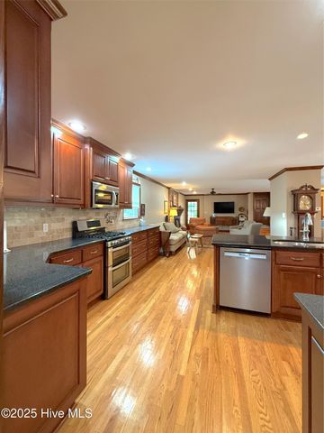 1591 Pat'S Road, Pantego, NC 27860