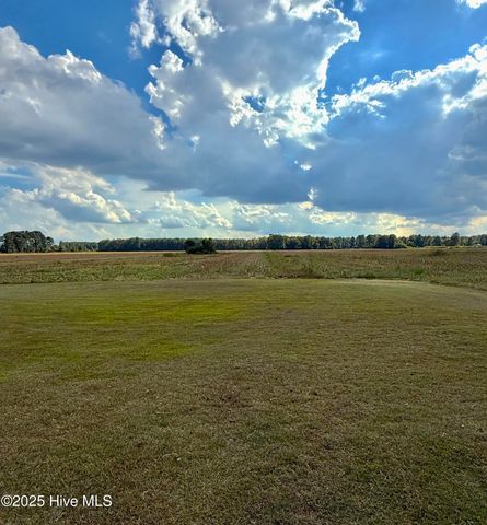 1591 Pat'S Road, Pantego, NC 27860