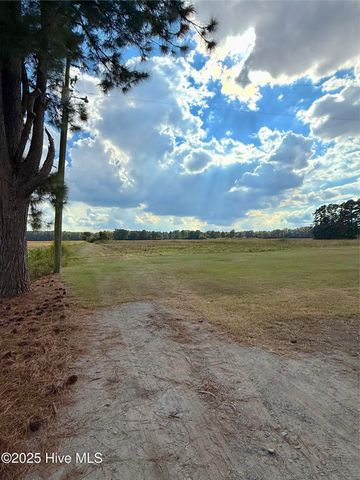 1591 Pat'S Road, Pantego, NC 27860