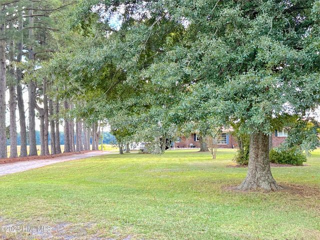 1591 Pat'S Road, Pantego, NC 27860