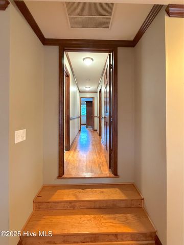 1591 Pat'S Road, Pantego, NC 27860