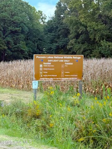 1591 Pat'S Road, Pantego, NC 27860