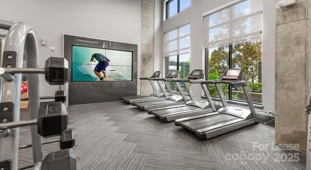 145 New Bern Street B1, Charlotte, NC 28209