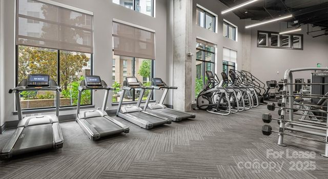 145 New Bern Street B1, Charlotte, NC 28209