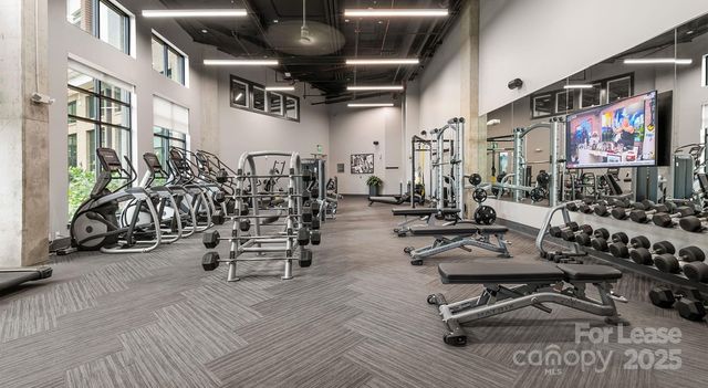 145 New Bern Street B1, Charlotte, NC 28209