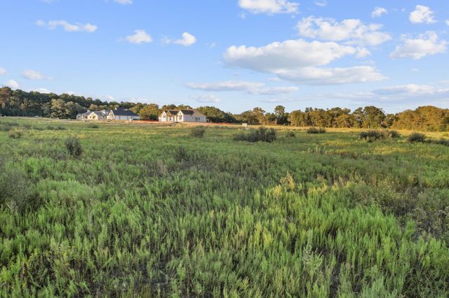 9548 Cedar Creek Lane, Plantersville, TX 77363