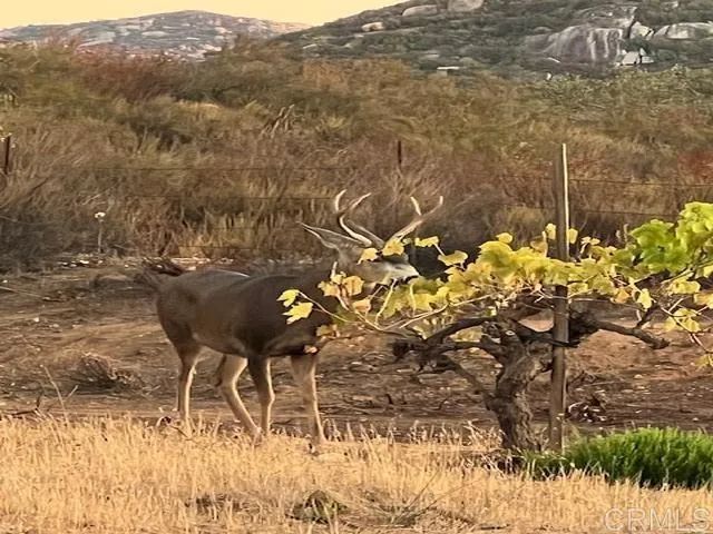 25561 E Old Julian Highway, Ramona, CA 92065