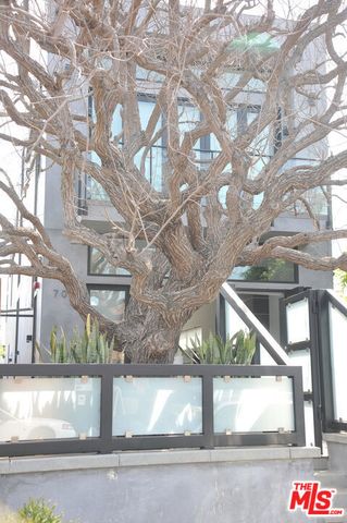 708 Hampton Drive, Venice (los Angeles), CA 90291