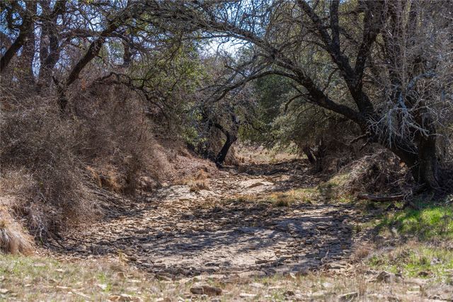 91 Acres Co Rd 370, Carbon, TX 76435