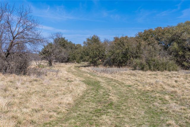 91 Acres Co Rd 370, Carbon, TX 76435
