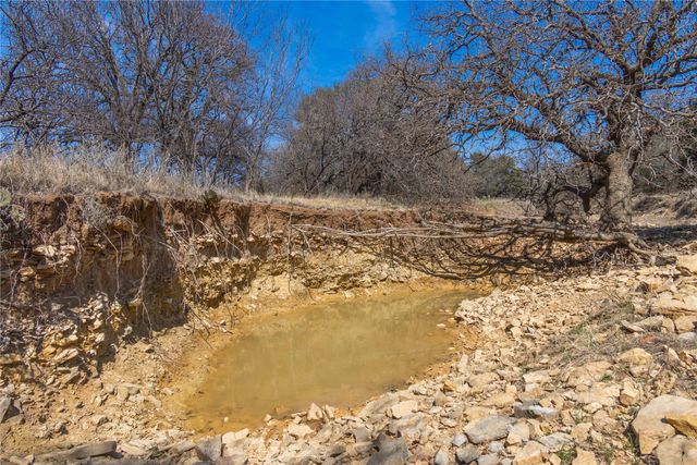 91 Acres Co Rd 370, Carbon, TX 76435