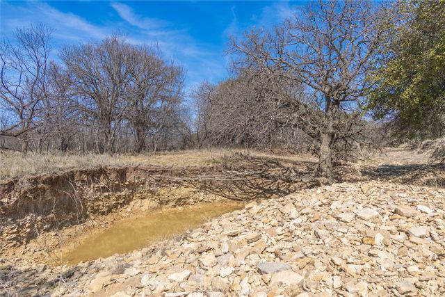 91 Acres Co Rd 370, Carbon, TX 76435