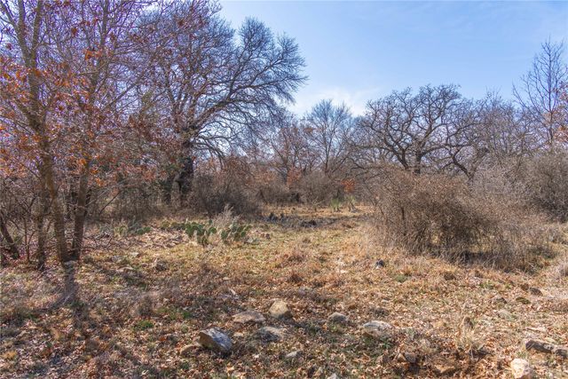 91 Acres Co Rd 370, Carbon, TX 76435