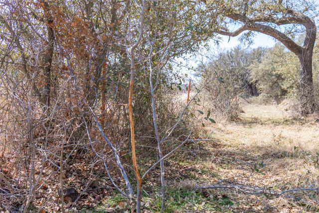 91 Acres Co Rd 370, Carbon, TX 76435