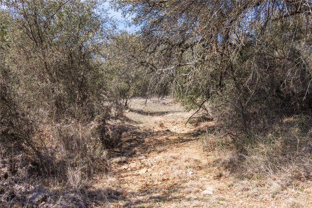 91 Acres Co Rd 370, Carbon, TX 76435