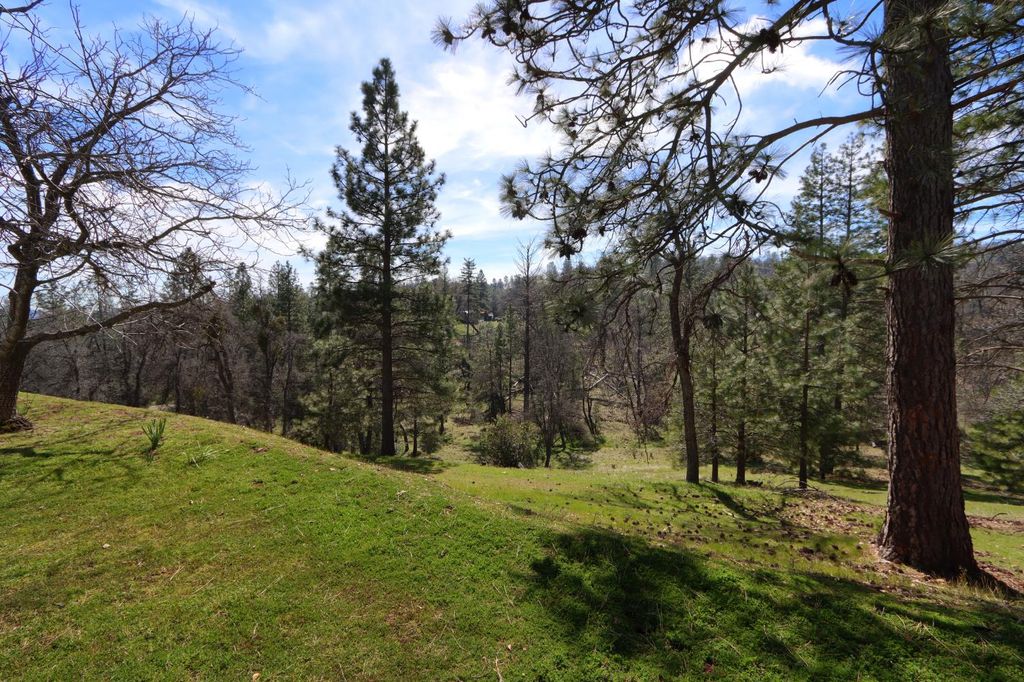 Image 48 of property listing at 5518 E Whitlock, Mariposa, CA 95338