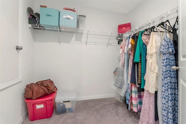 11527 SAGE CANYON DRIVE, Riverview, FL 33578