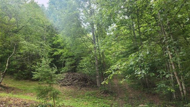 47 Blue Berry Drive, Pikeville, TN 37367