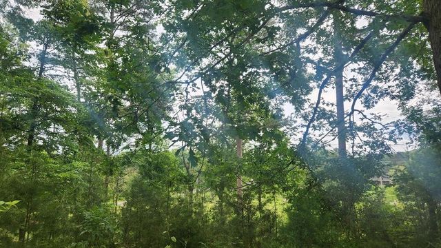 47 Blue Berry Drive, Pikeville, TN 37367