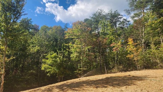 47 Blue Berry Drive, Pikeville, TN 37367