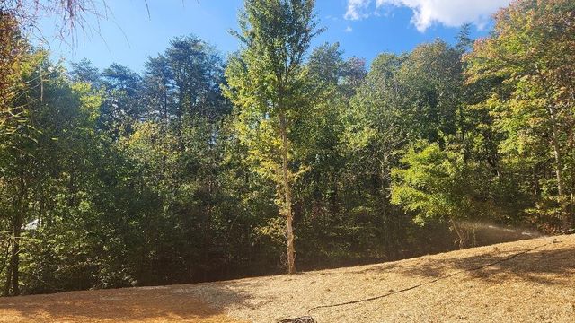 47 Blue Berry Drive, Pikeville, TN 37367