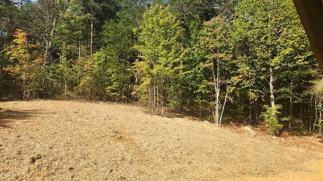 47 Blue Berry Drive, Pikeville, TN 37367