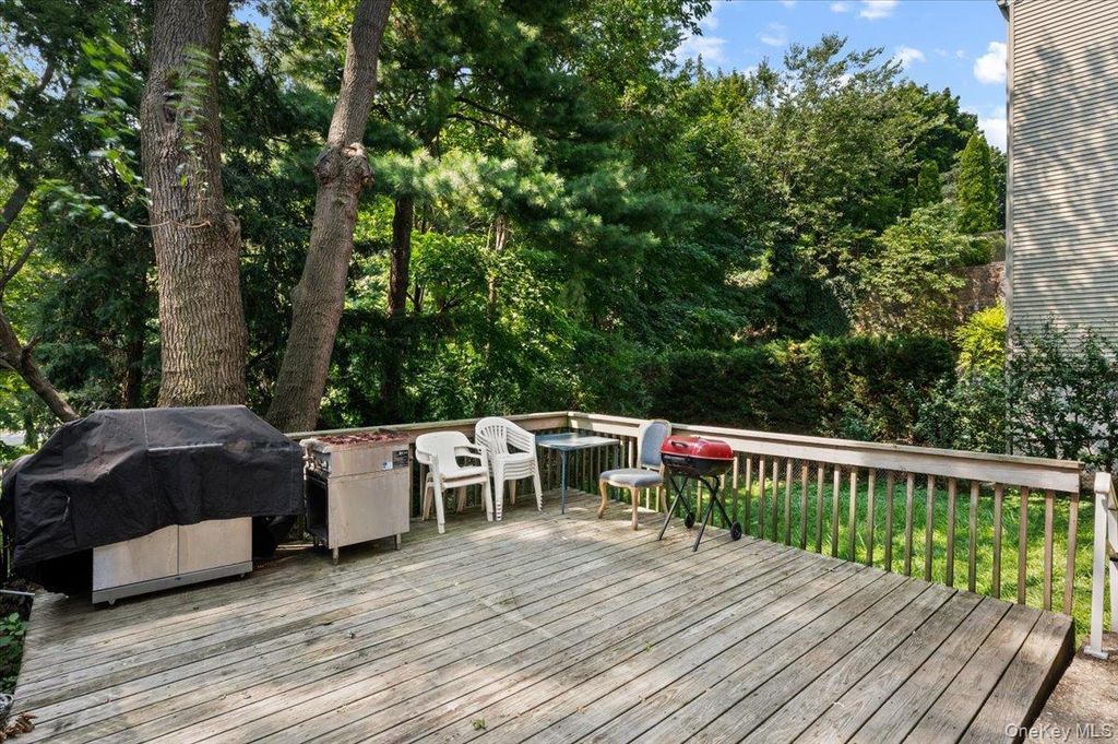 288 Olivia Street, Port Chester, NY 10573 — photo 4